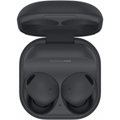 Samsung Galaxy Buds 2 Pro R510 Grey